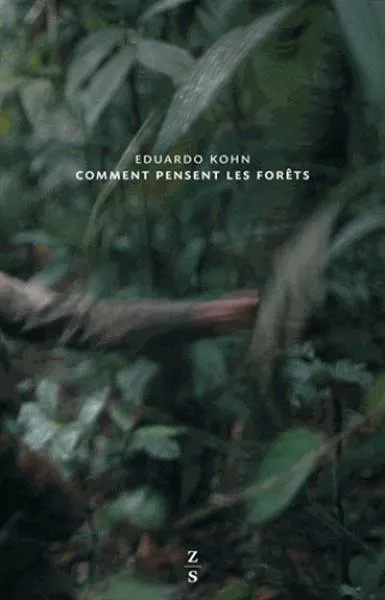 Comment pensent les forêts