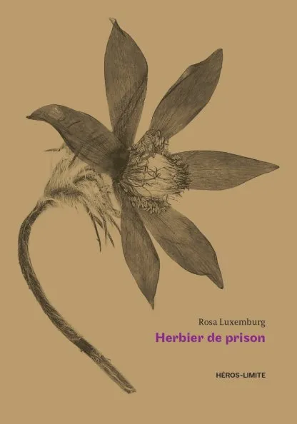 Herbier de prison