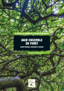 Agir ensemble en forêt