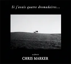 Si j'avais quatre dromadaires…